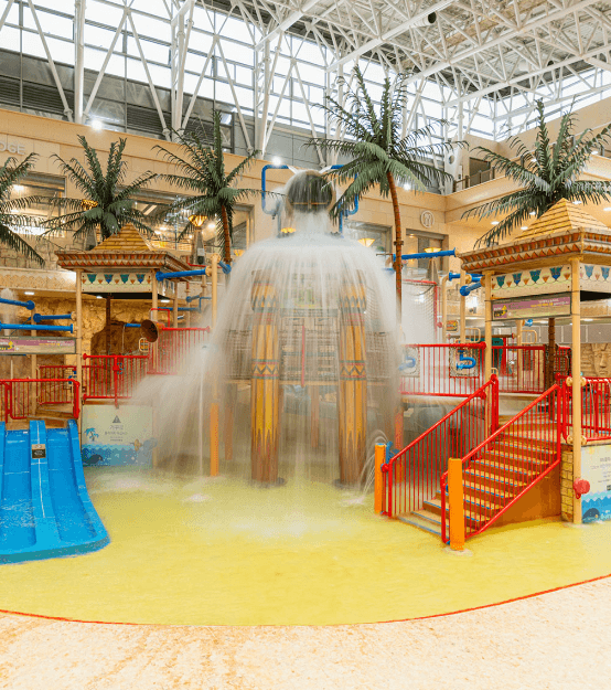  홍천비발디파크 오션월드