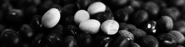 서리태 보관법: 저온 보관