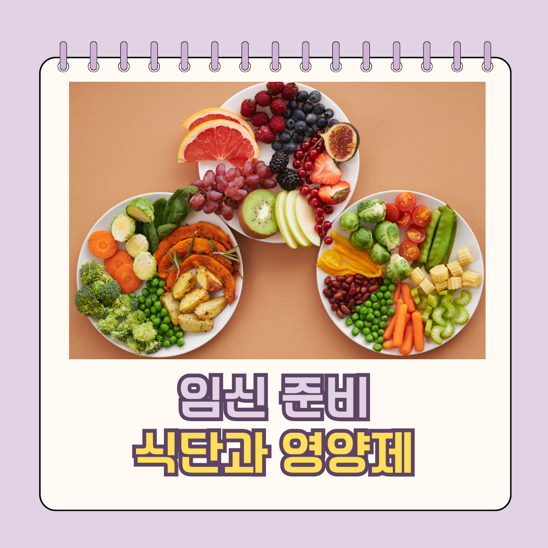 임신 준비 식단 영양제