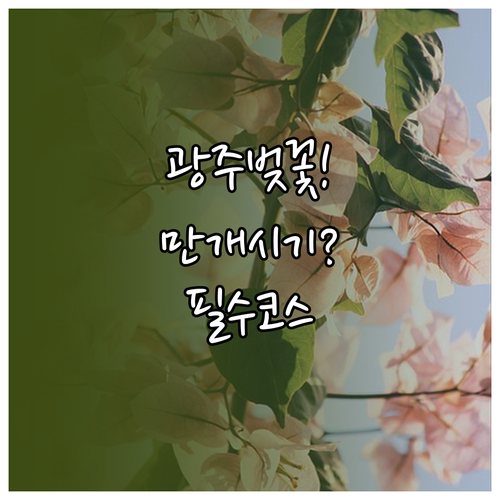 광주 서구 벚꽃 만개 시기 예측 및 ..