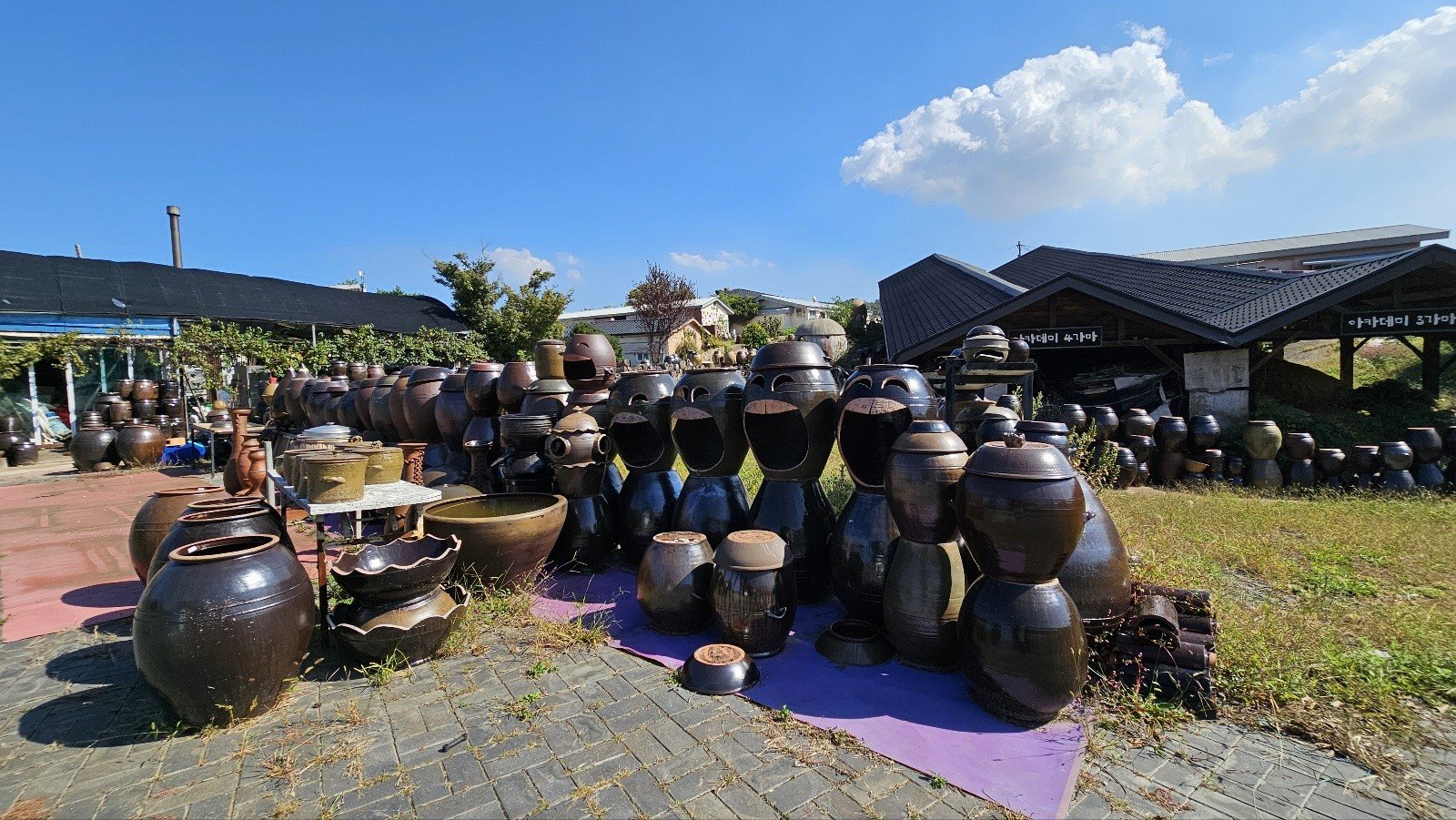 외고 산 옹기 마을 장독대 군락 풍경