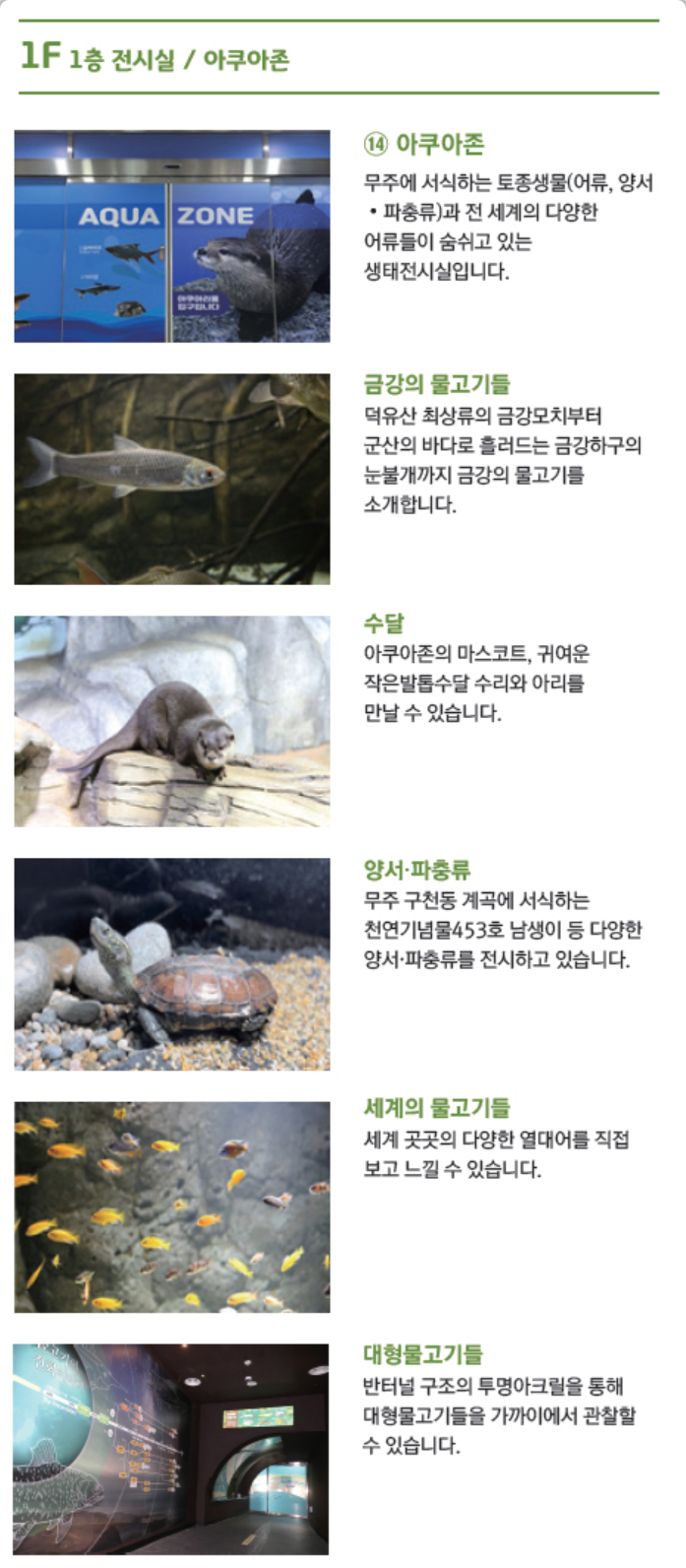 무주 반디랜드
