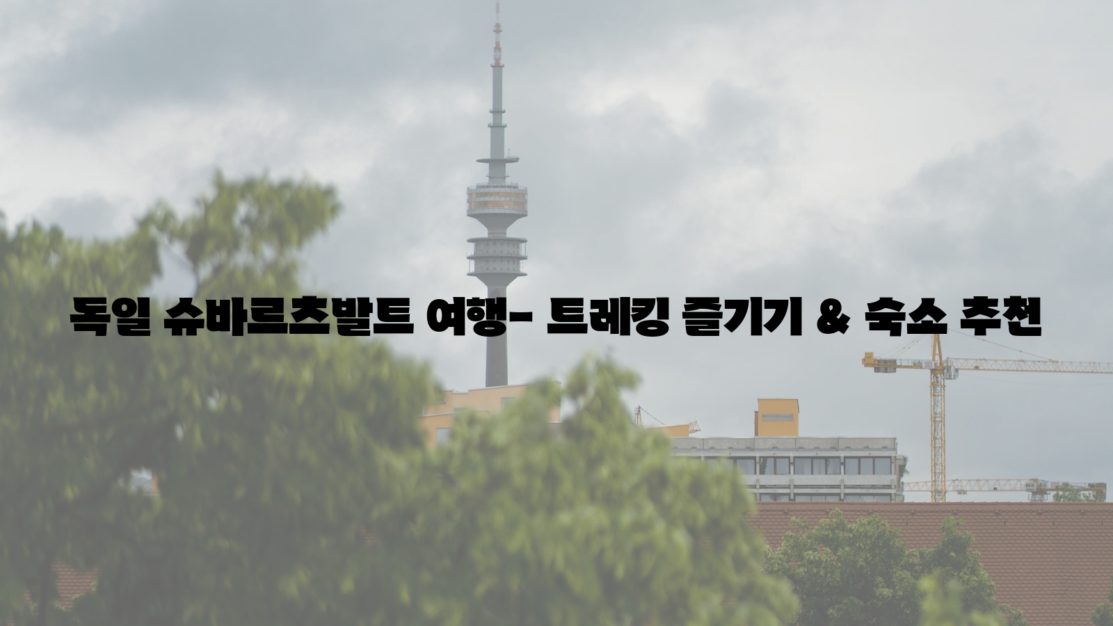 독일 슈바르츠발트 여행- 트레킹 즐기기 & 숙소 추천 독일, 슈바르츠발트, 트레킹