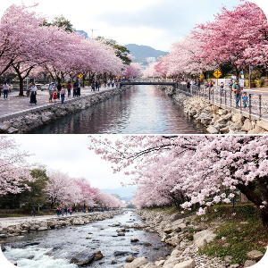 온천천 벚꽃길 이미지