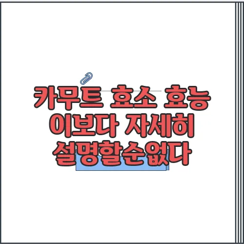 카무트 효소 효능 이보다 자세히 설명할순없다