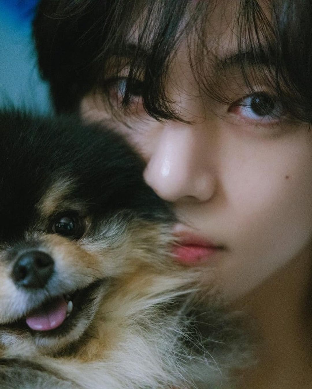 김태형=뷔 キム・テヒョン (BTS) 3