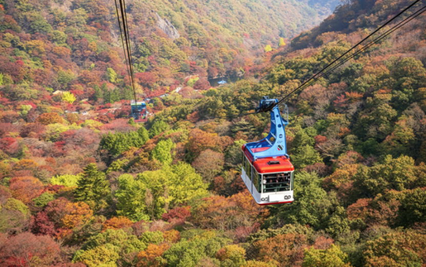 내장산 국립공원