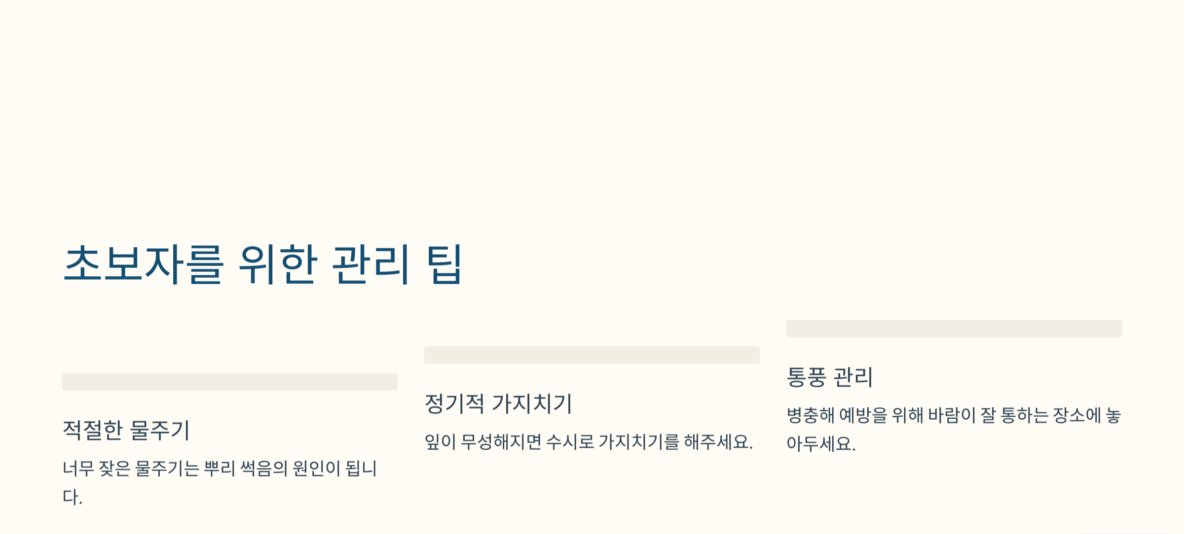 페퍼민트