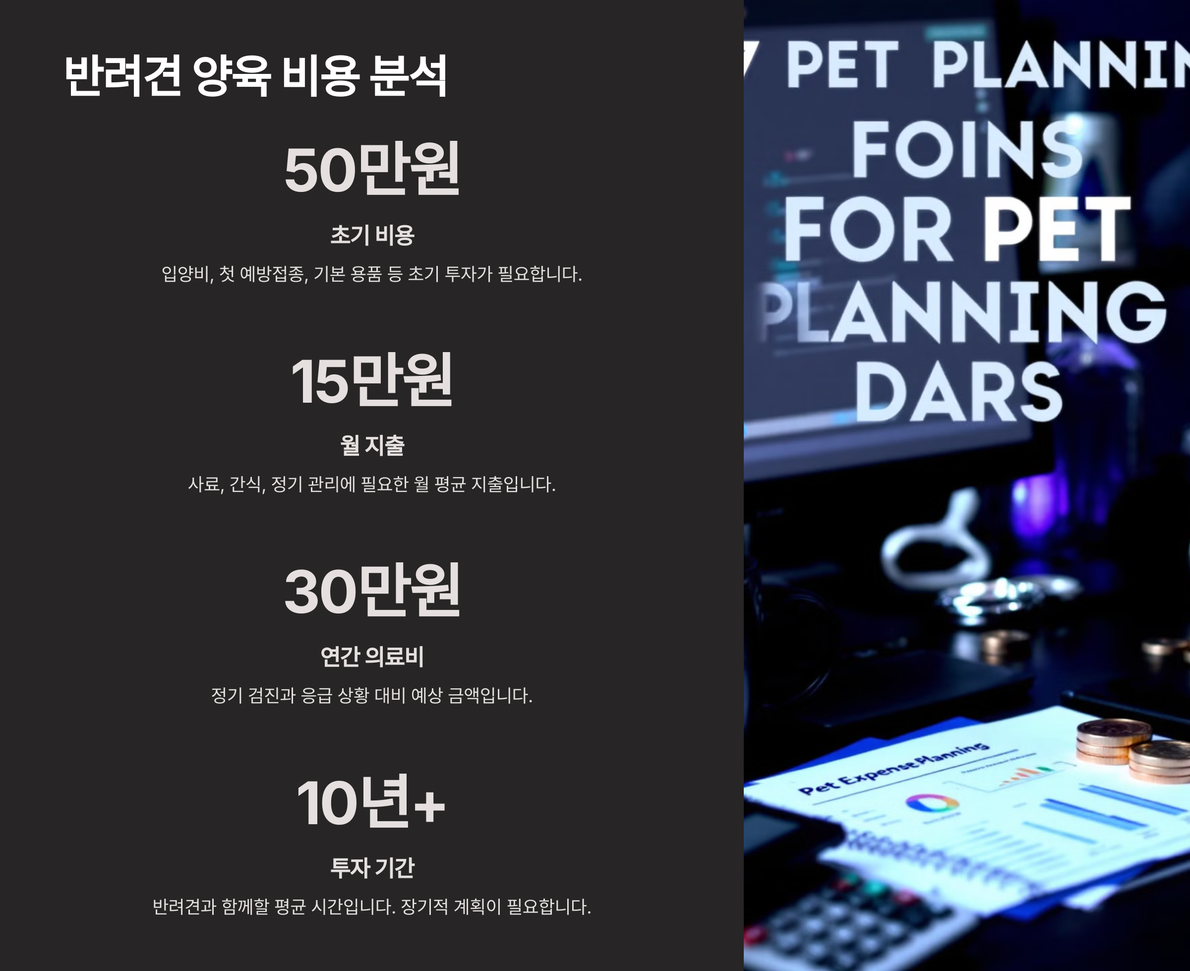 반려견 키우기 완벽한 초보 가이드