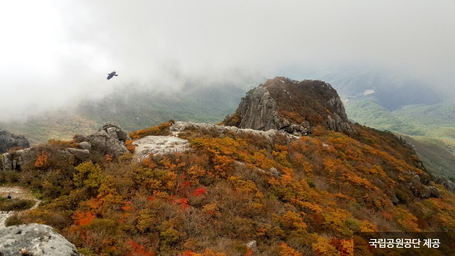 가을 여행지 단풍 추천장소 _ 속리산, 팔공산, 가야산, 지리산, 한라산 국립공원