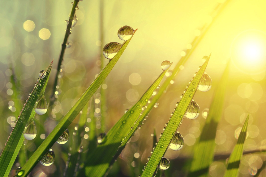 계절의 변화를 세분화한 24 절기 중 &amp;#39;백로&amp;#39; 이해하기