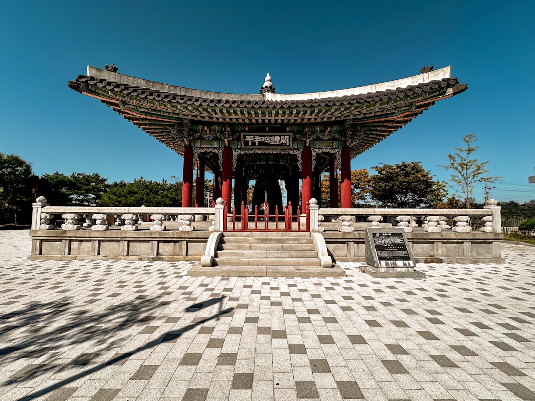 Paju