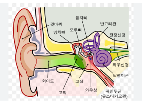 귀속의 구조