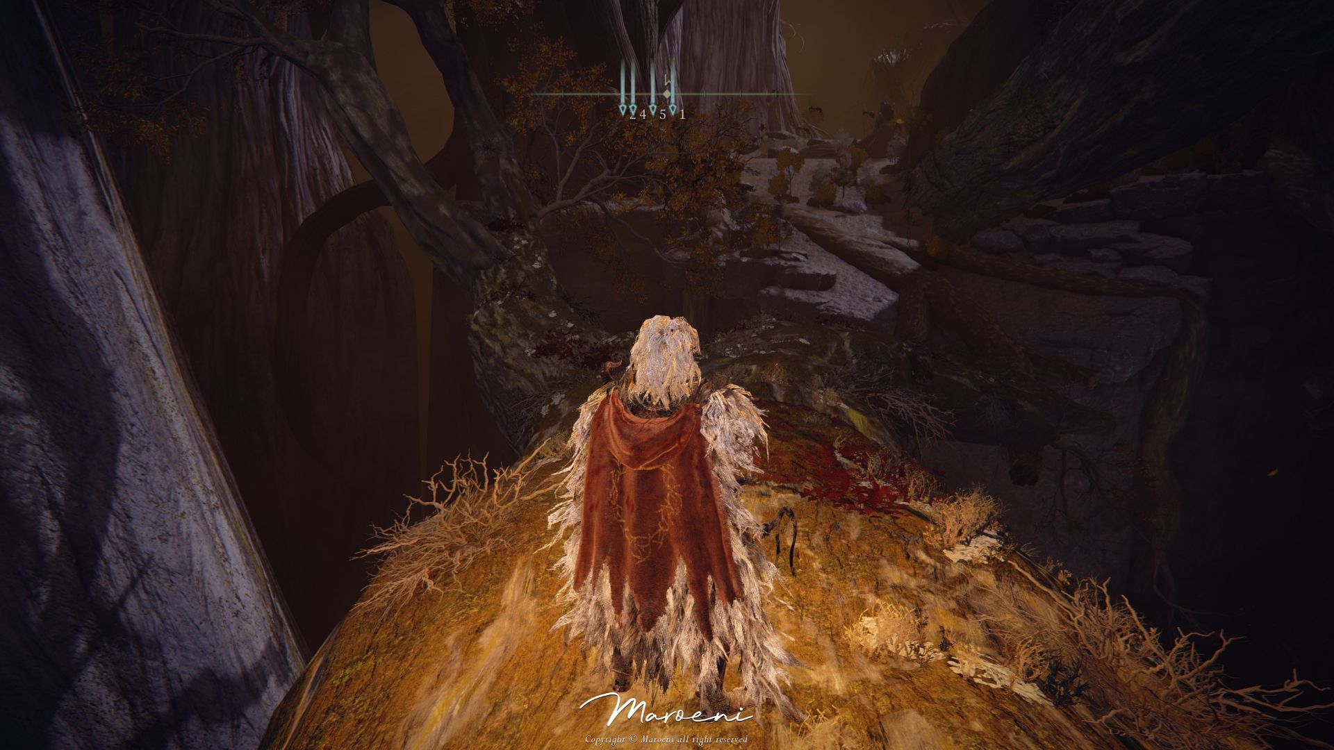 동침의 처녀 피아