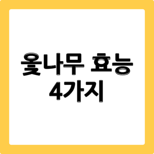 옻나무 효능