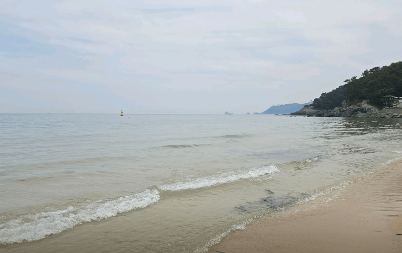 2024 부산 해수욕장 개장일