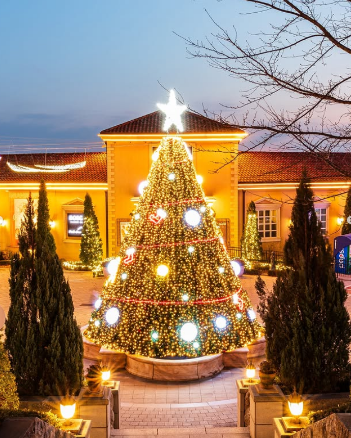 서울 근교 크리스마스 테마 분위기 맛집 Best 5