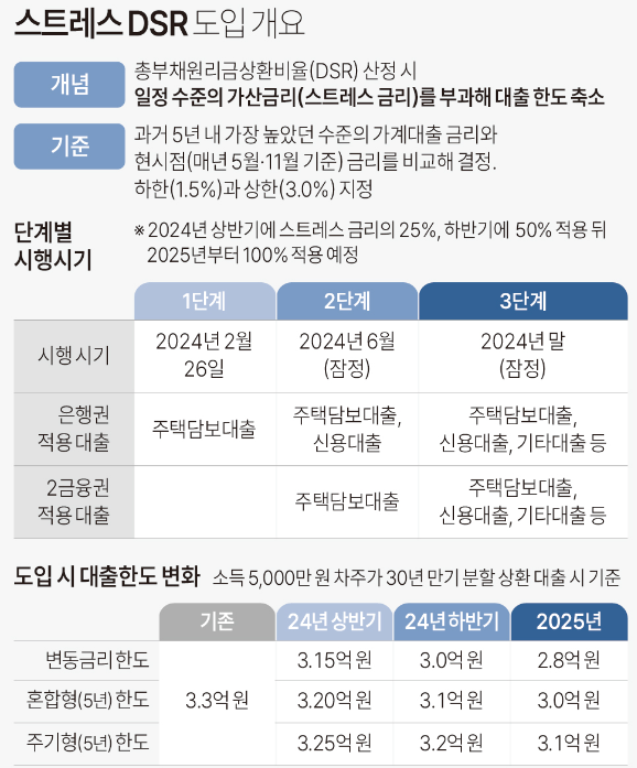 dsr 규제 제도