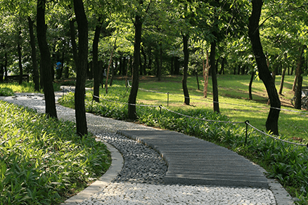 일산 호수공원 주차 요금 위치 완벽 가이드