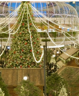 2024 수도권 크리스마스 명소 가볼만한곳