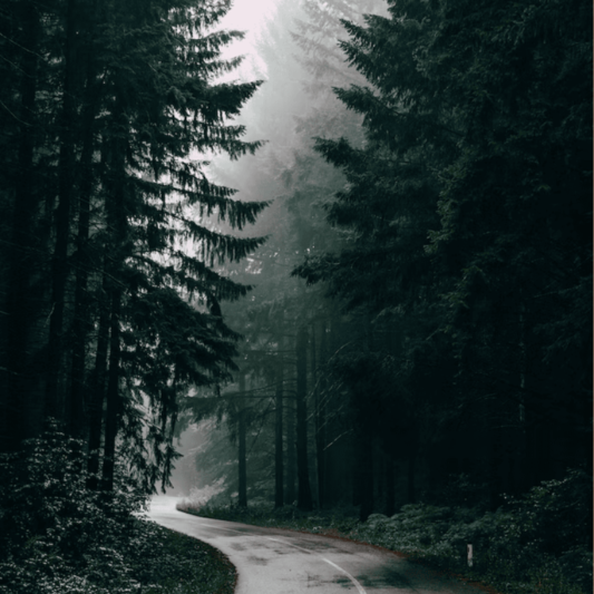 2023년-장마-종료