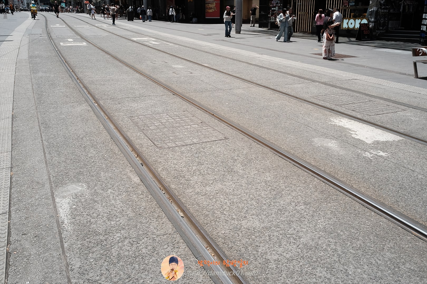 2024년 12월 19일 시드니