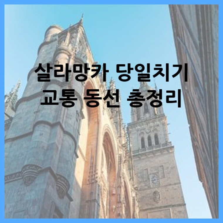 살라망카 당일치기 교통 동선 총정리