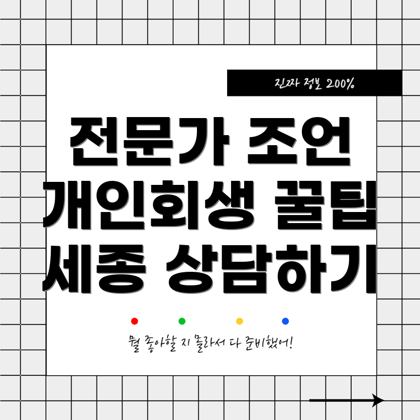 세종 개인회생 변호사