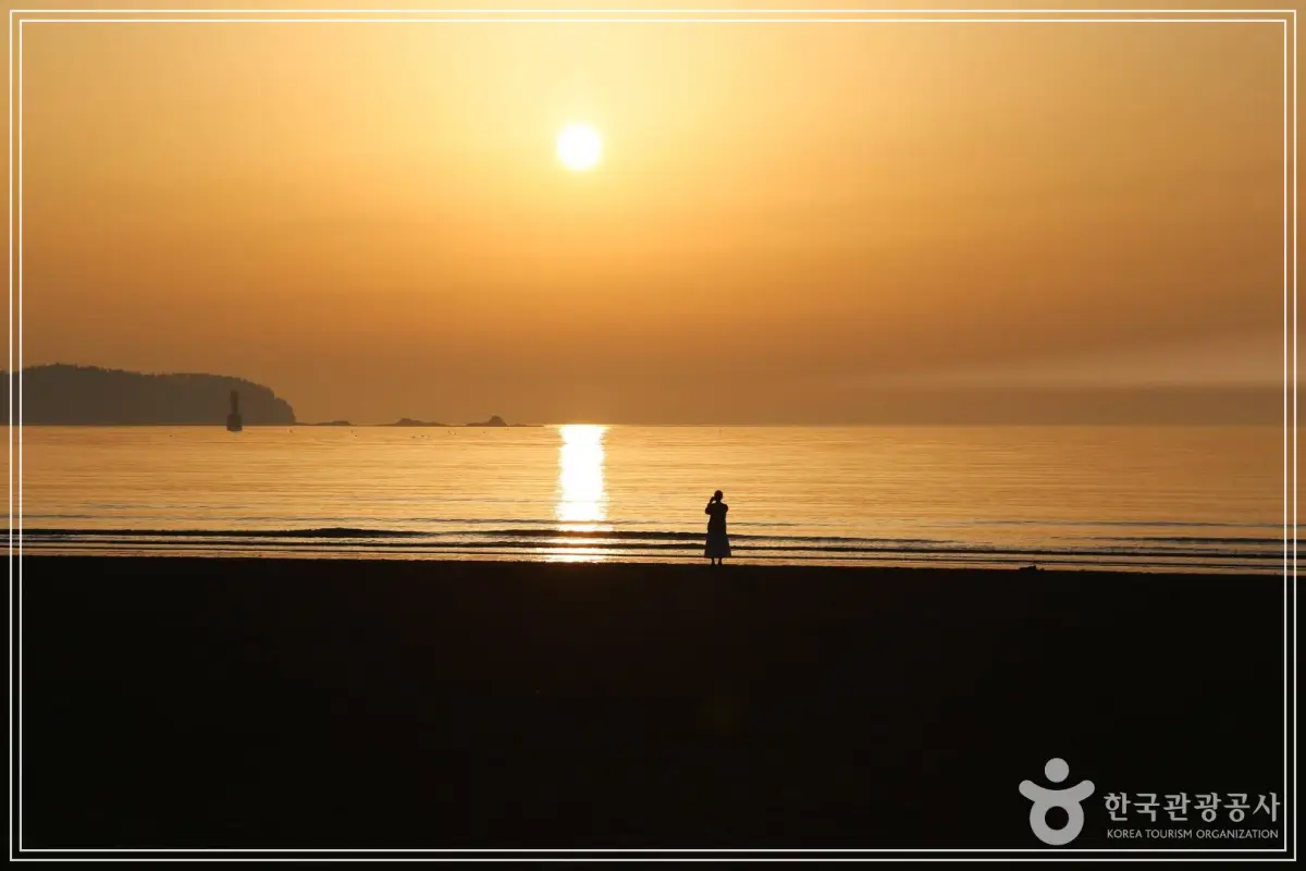 batch_98b60078-45a6-40e6-8914-2765d4dcf320