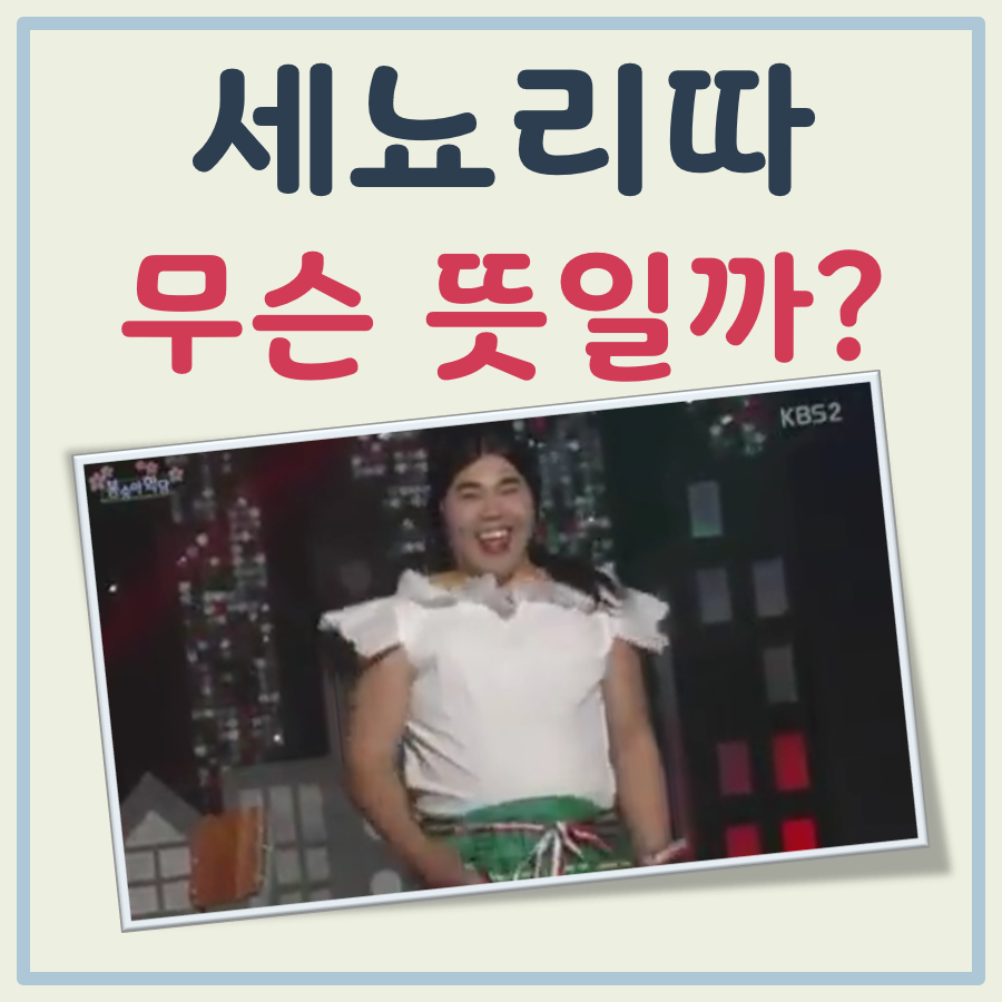 세뇨리따 뜻
