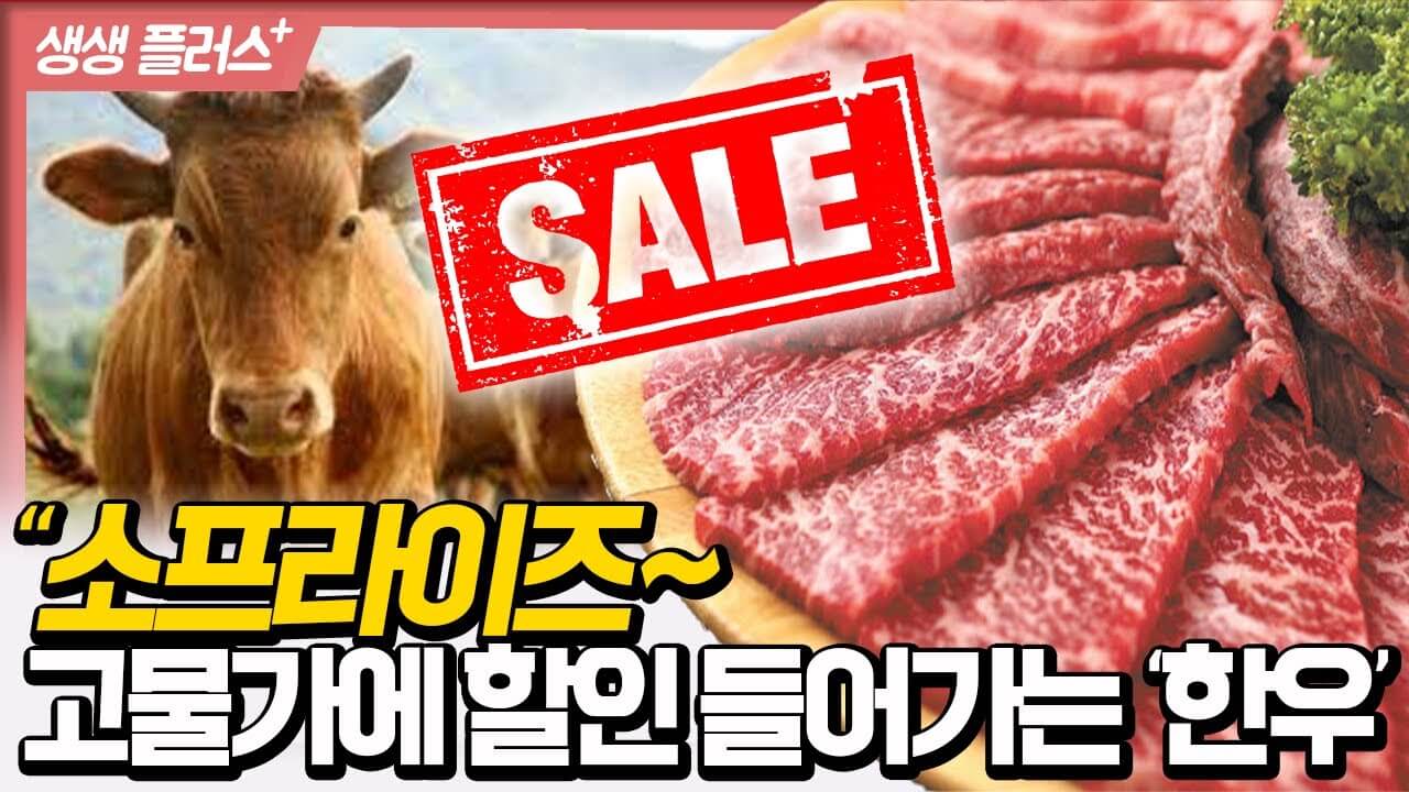 소프라이즈 한우 할인 행사 가격 일정 매장