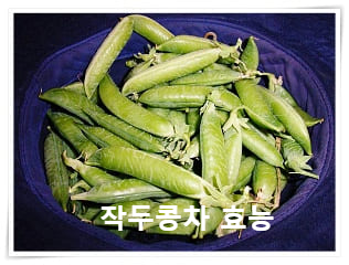 작두콩차 1
