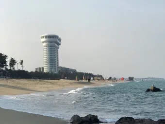 경포 해변 파도 높이 바람 방향 아이 동반 수영 안전_19