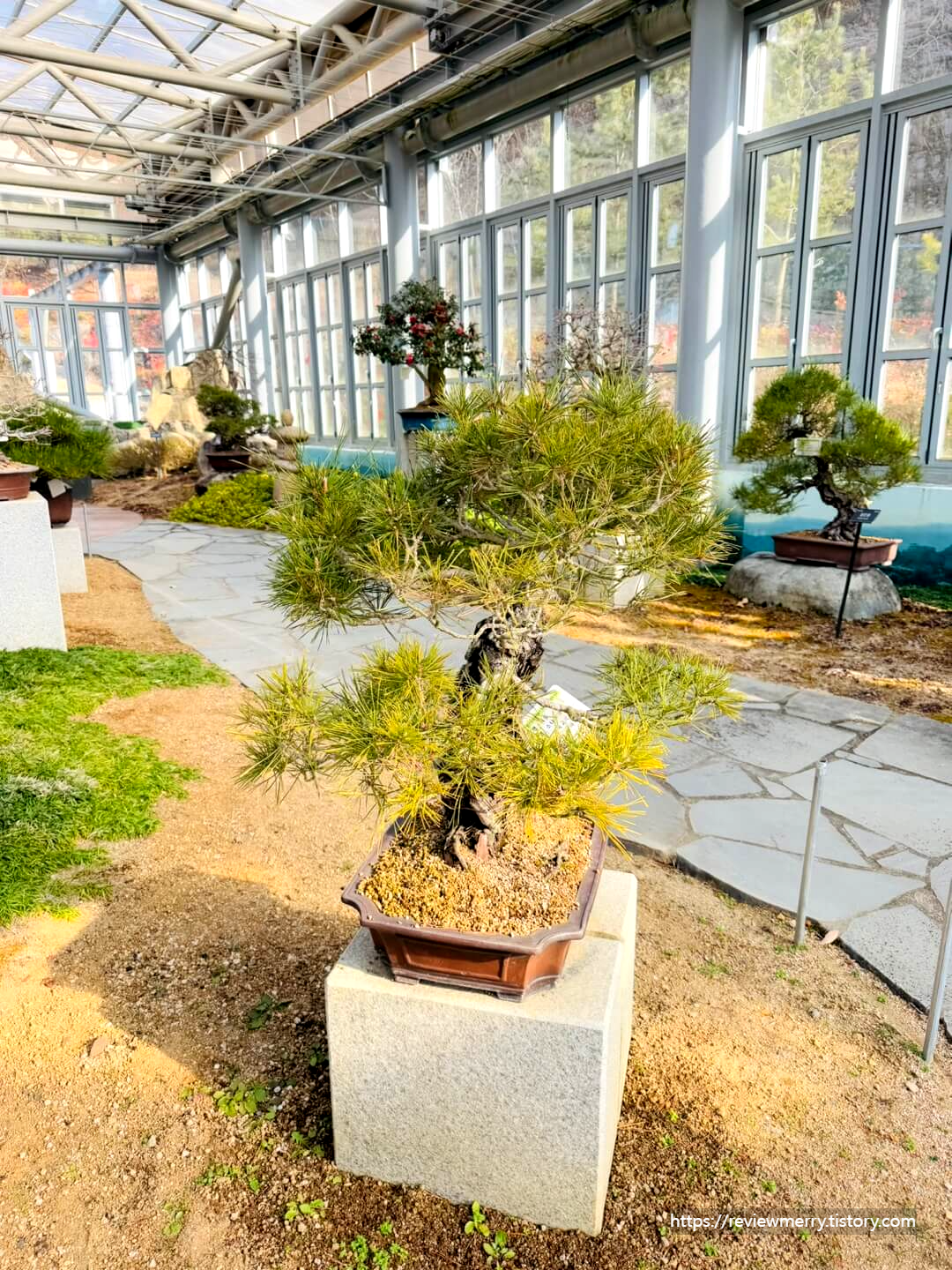 실내 분재원