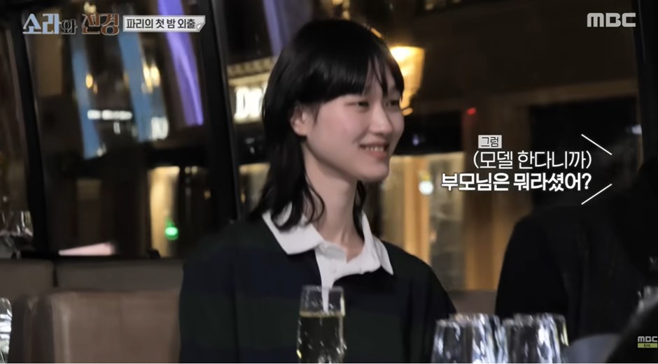 한국과 미국의 명문대 포기하고 현재 탑모델이 됐다는 모델들 | 인스티즈