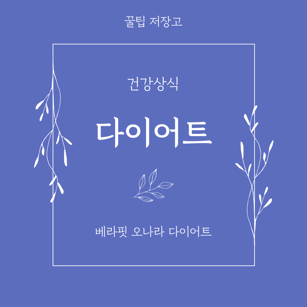 베라핏 다이어트