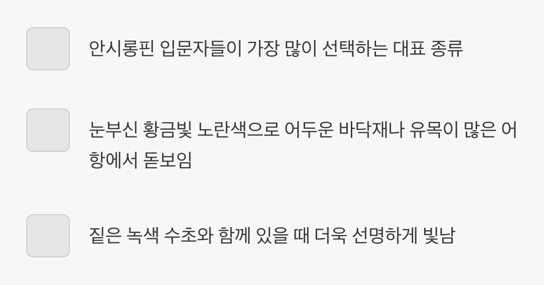 황금 드레스를 입은 &lsquo;골드 안시롱핀&rsquo;