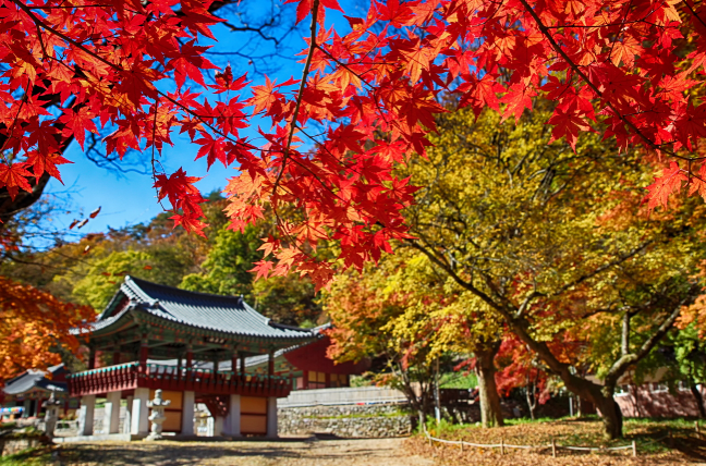 순창 vs 전주 생활비 체감 비교— 숫자보다 중요한 건 ‘생활하면서 느끼는 부담감’