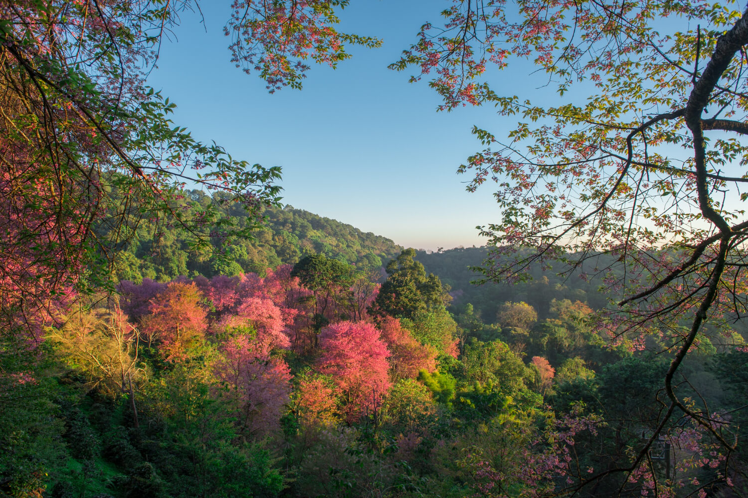 2025 화담숲 예약방법