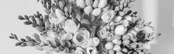 프리지아 꽃말: 빨간색