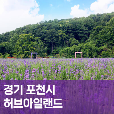 경기-포천-허브아일랜드