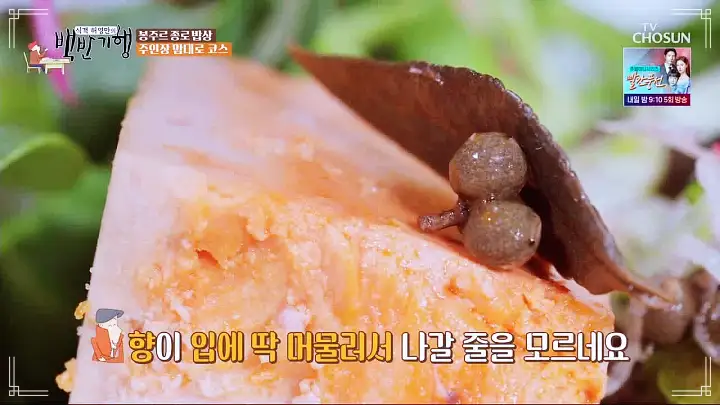 식객 허영만 백반기행 파비앙 특별출연 프랑스 장관 플뢰르 펠르랭 김종숙 편 혼술 추천 5년 숙성 산초 간장 안키모 아귀간 가오리찜 숙성회 종로 예약 오마카세 맛집 소개