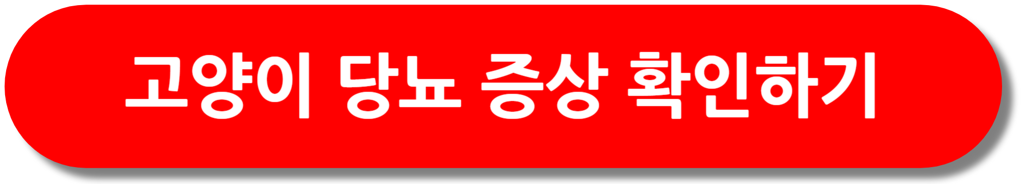 고양이-당뇨-증상