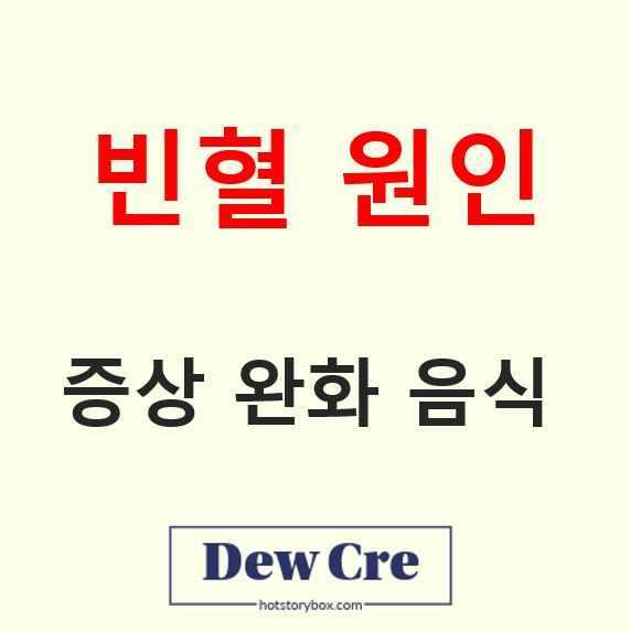 철분 부족 빈혈 원인 증상 완화 음식 추천 총정리