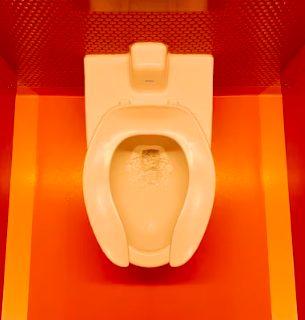 만성 신우신염 증상 원인 예방 치료법