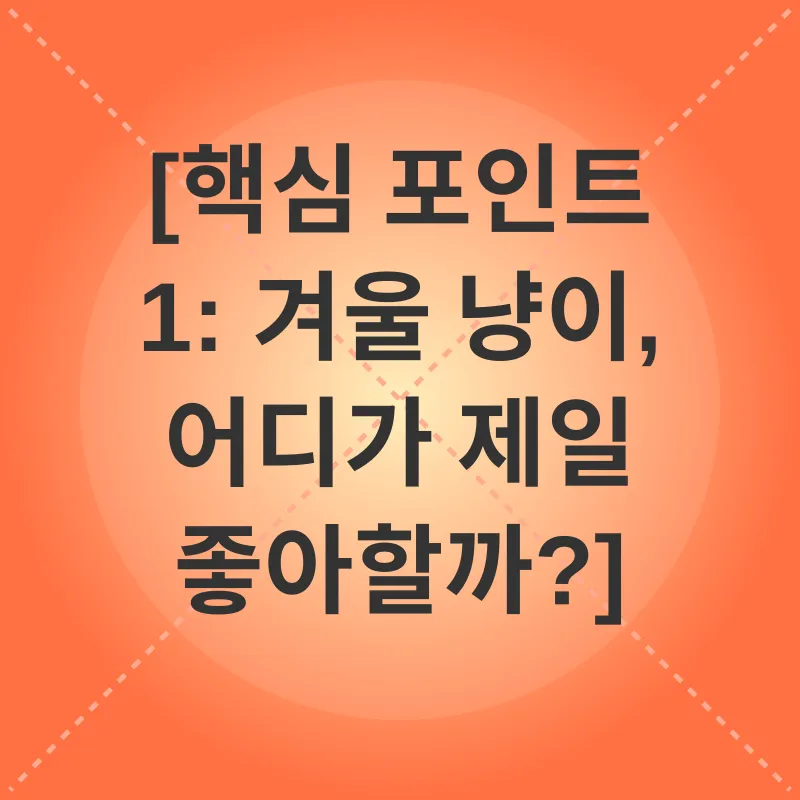 겨울철 고양이 관리_1