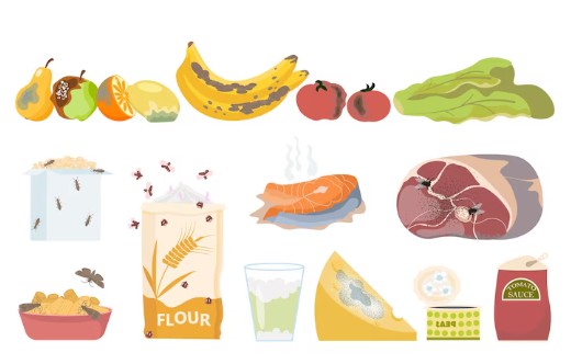 식중독-증상-예방-대처법-4