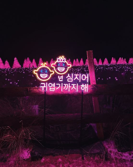 포천 허브아일랜드 불빛동화축제 여행 정보 (2024)