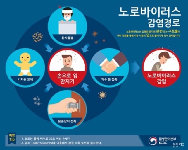 노로바이러스에 대한 모든 것