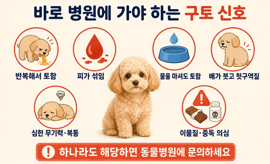 강아지가 토할 때 바로 동물병원에 가야 하는 구토 위험 신호